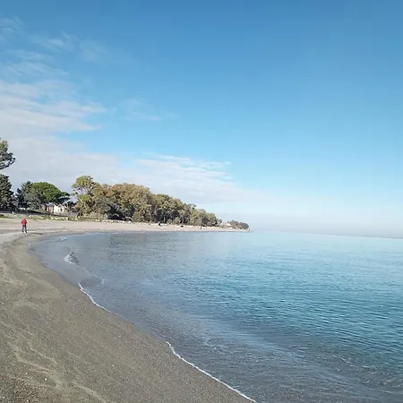 ベッド・アンド・ブレックファスト Pollo D'oro *