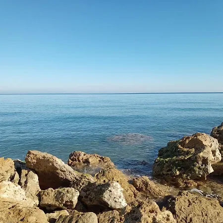 Pollo D'oro Bed & Breakfast Torretta (Calabria)