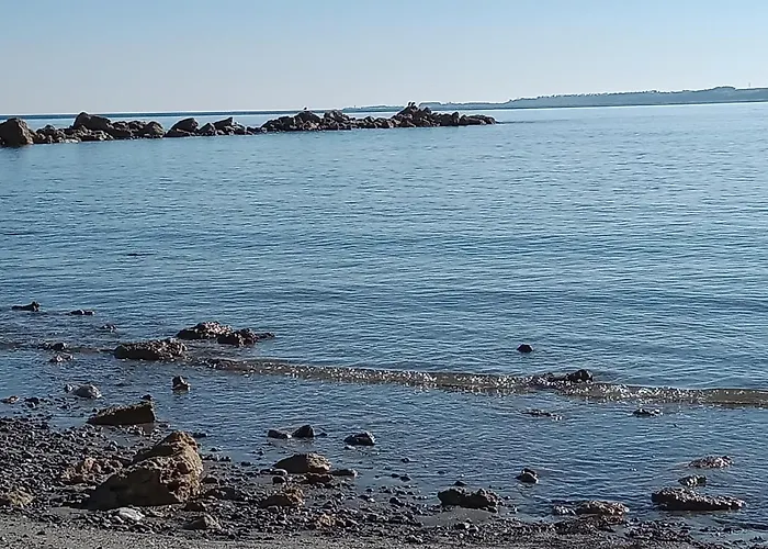 Pollo D'oro Torretta (Calabria)